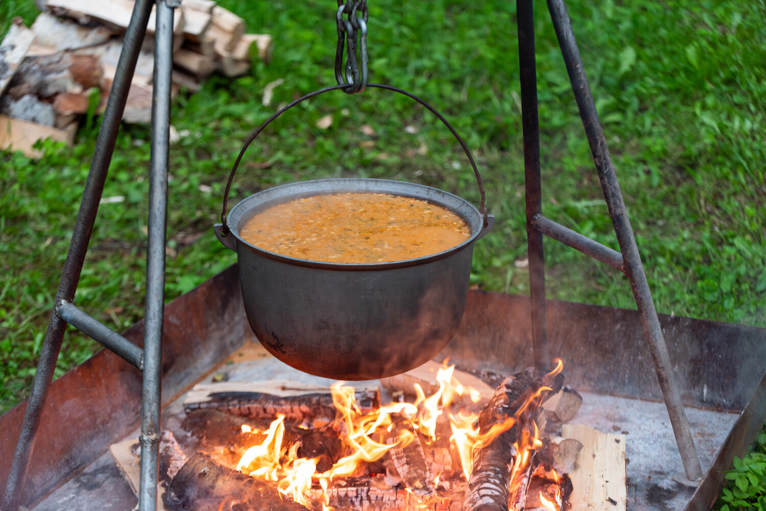 Riebiņu pagasta svētki