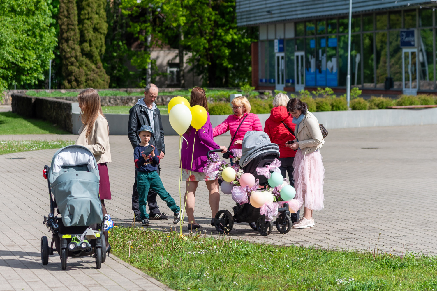 Bēbīšu pieneņpūku svētki 2025