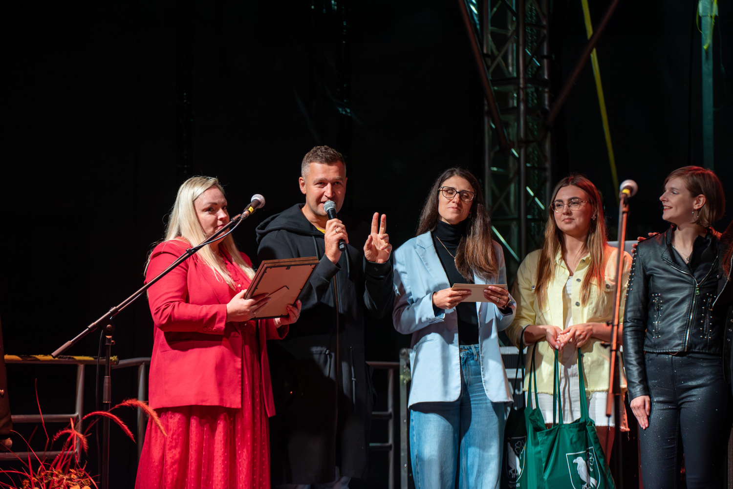 Jauno mūzikas grupu un solistu konkurss "Zelta Krauklis 2025"