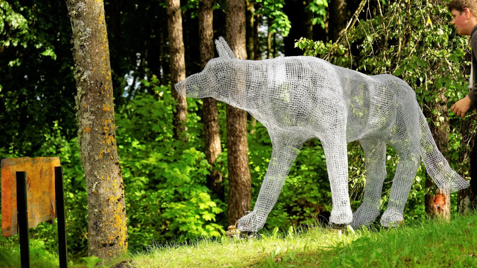 Īstenots projekts "Pa Pelēcīša pēdām"