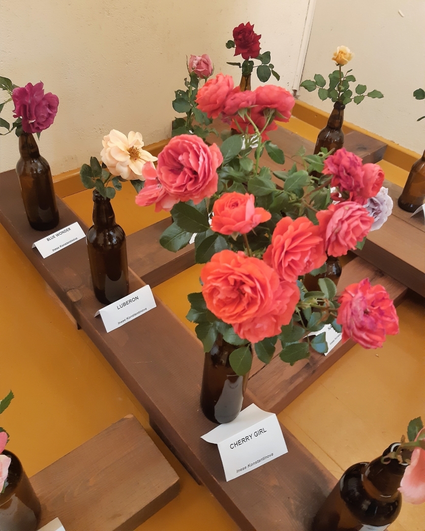 Muzikāli romantiskā gaisotnē aizritējuši Rožu dārza svētki “Jasmuižā”