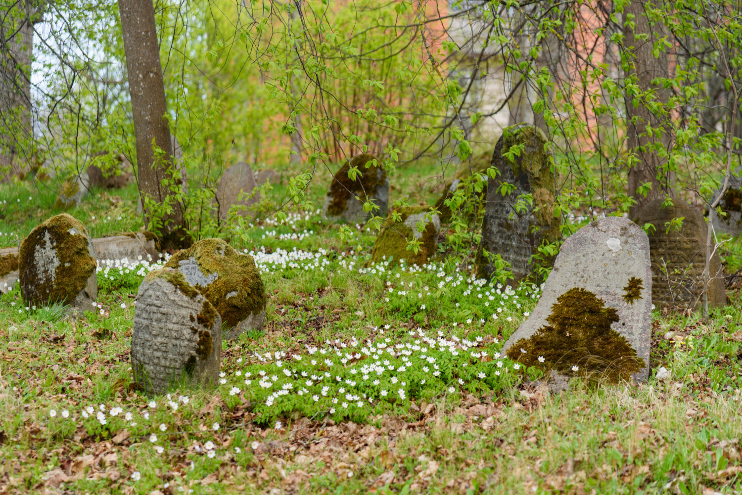 Izraēlas vēstnieces vizīte Preiļos 