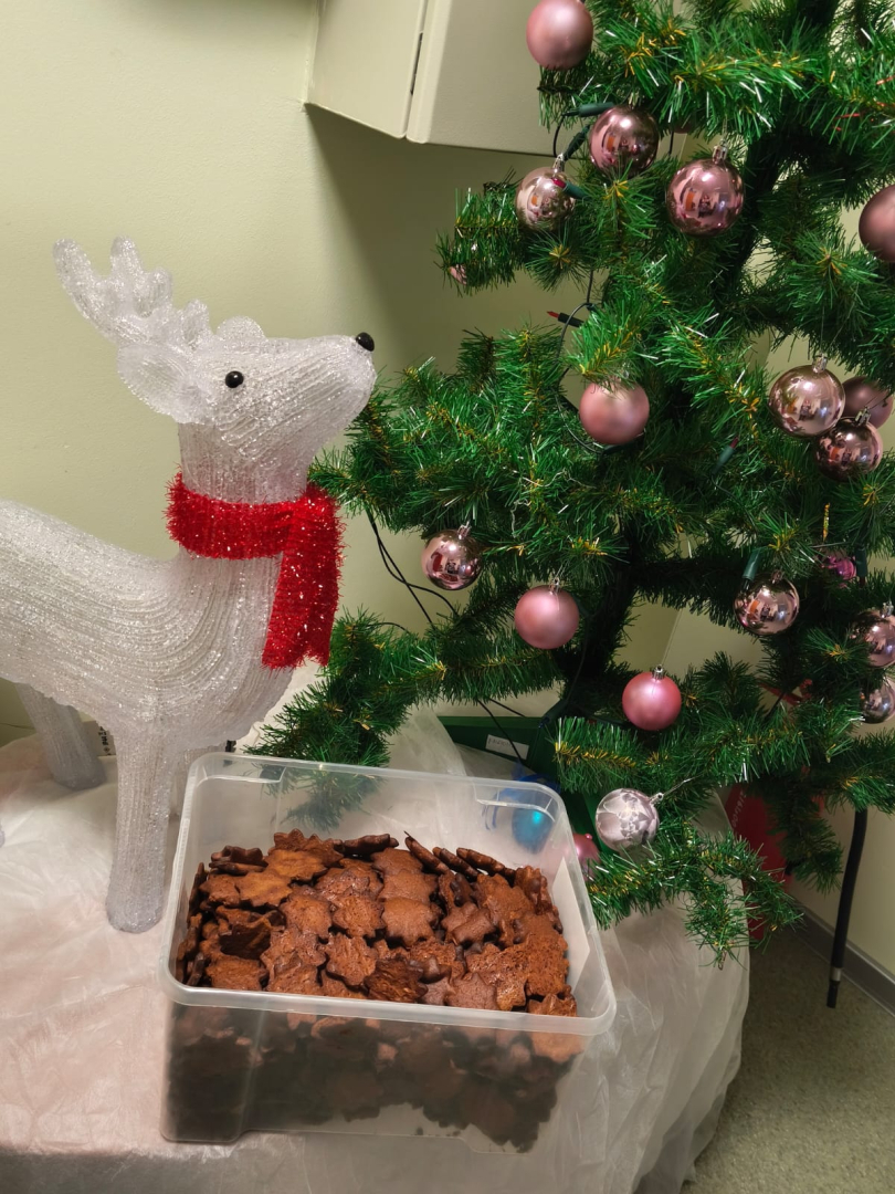 Piparkūku smarža un sirds siltums SAC "Aglona"