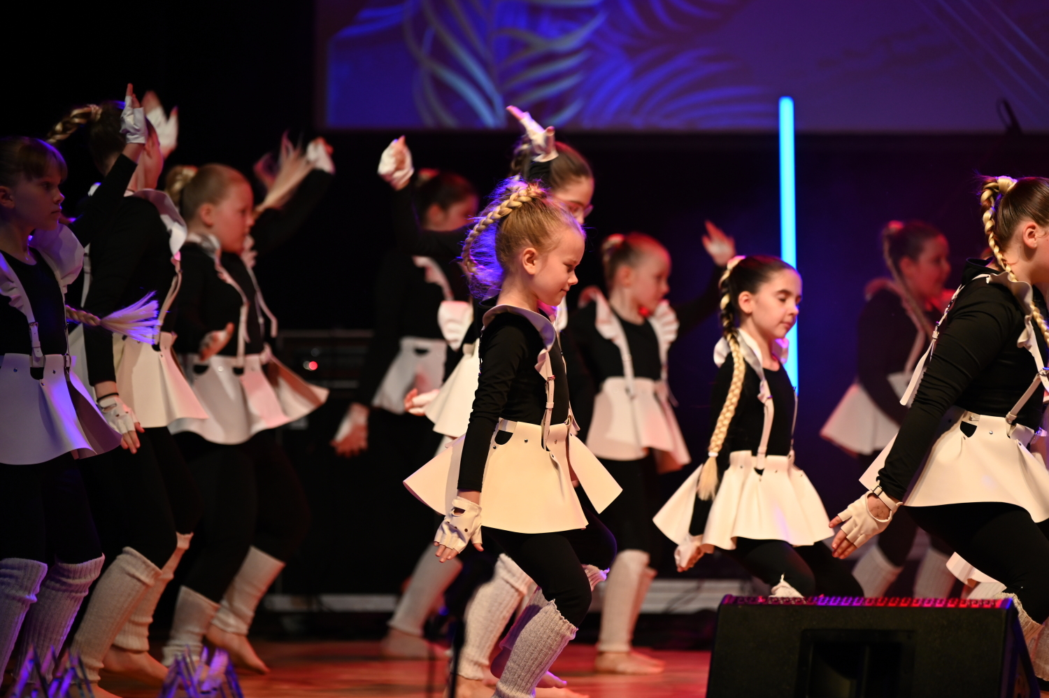 Preiļu novada Uzņēmēju gada balle