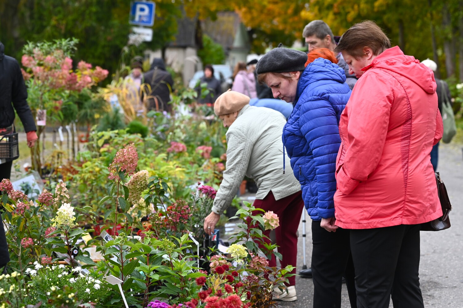 Lielais rudens gadatirgus Preiļos 2025