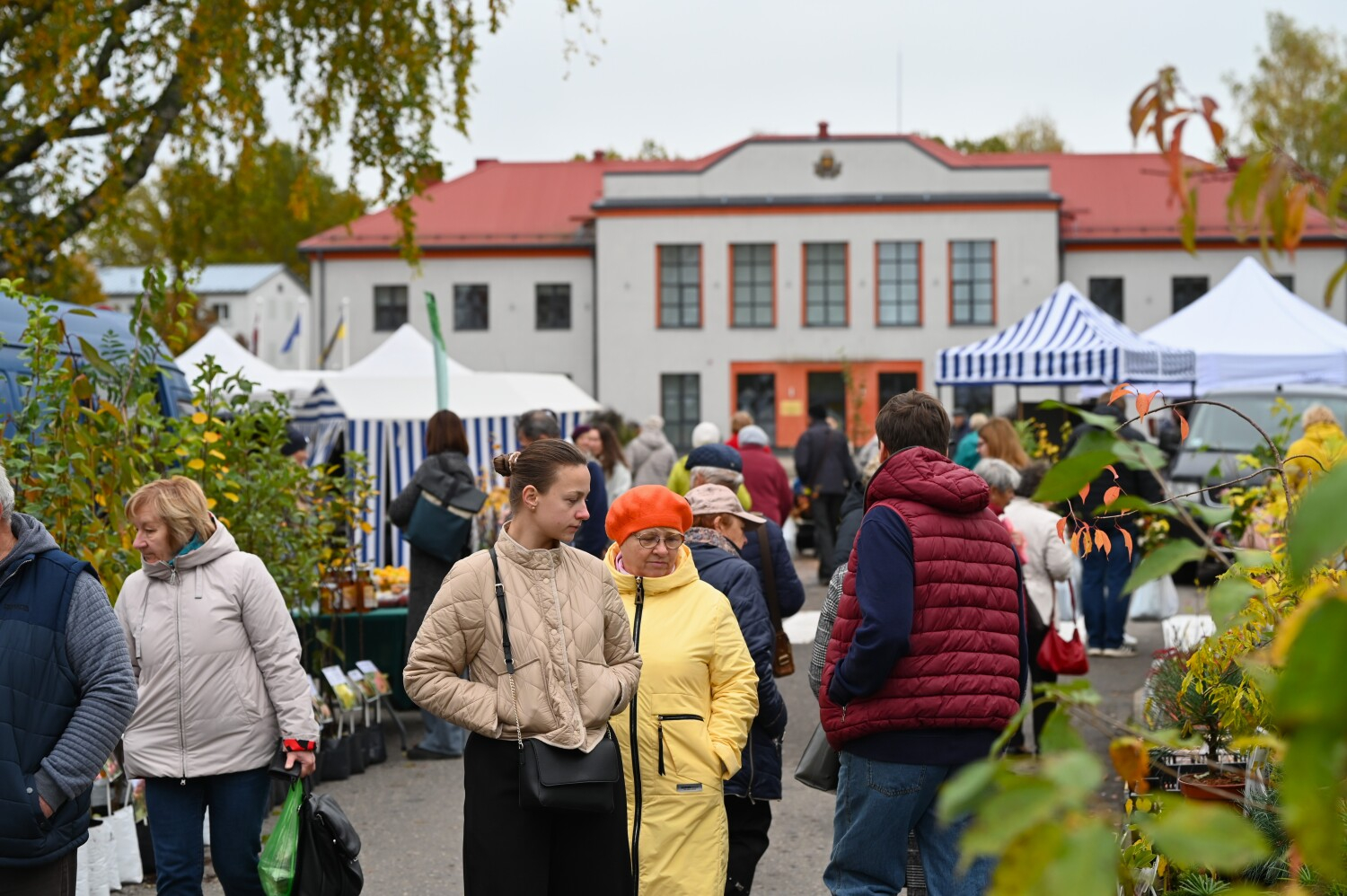 Lielais rudens gadatirgus Preiļos 2025