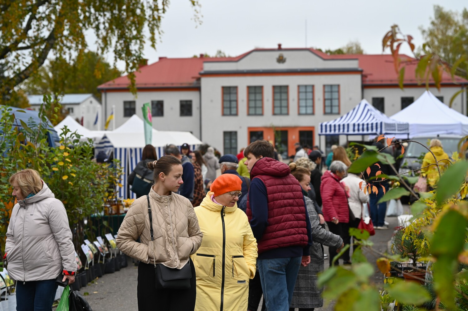 Lielais rudens gadatirgus Preiļos 2025