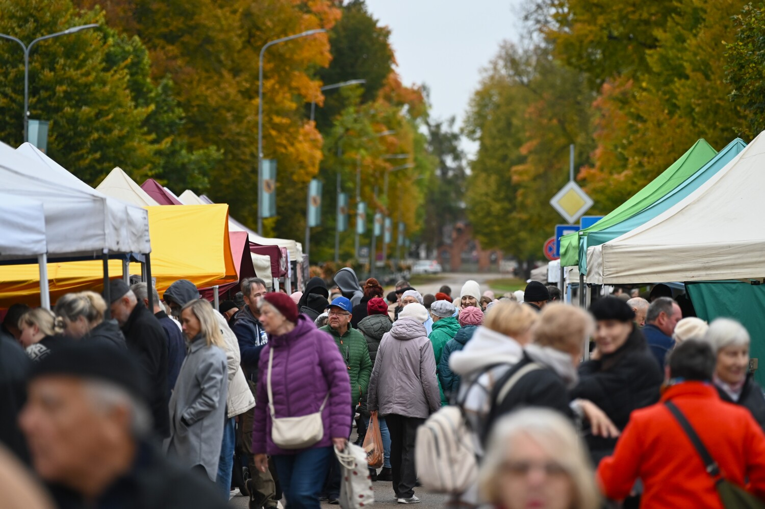 Lielais rudens gadatirgus Preiļos 2025