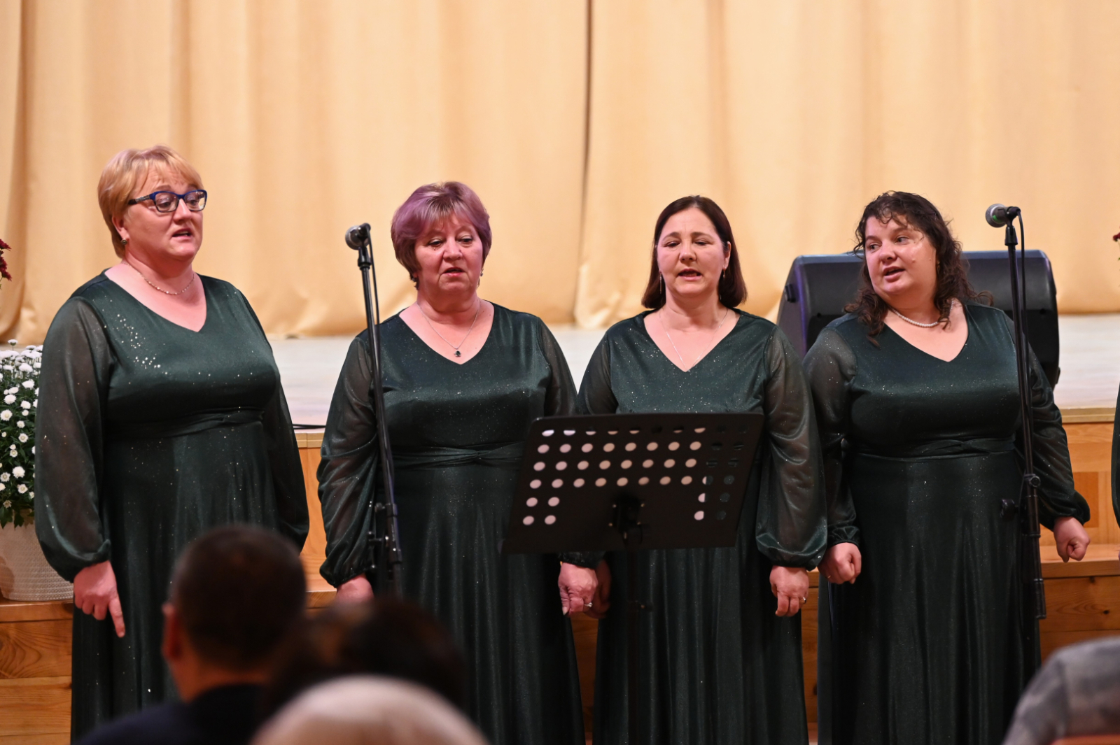 Stabulnieku pagasta svētki