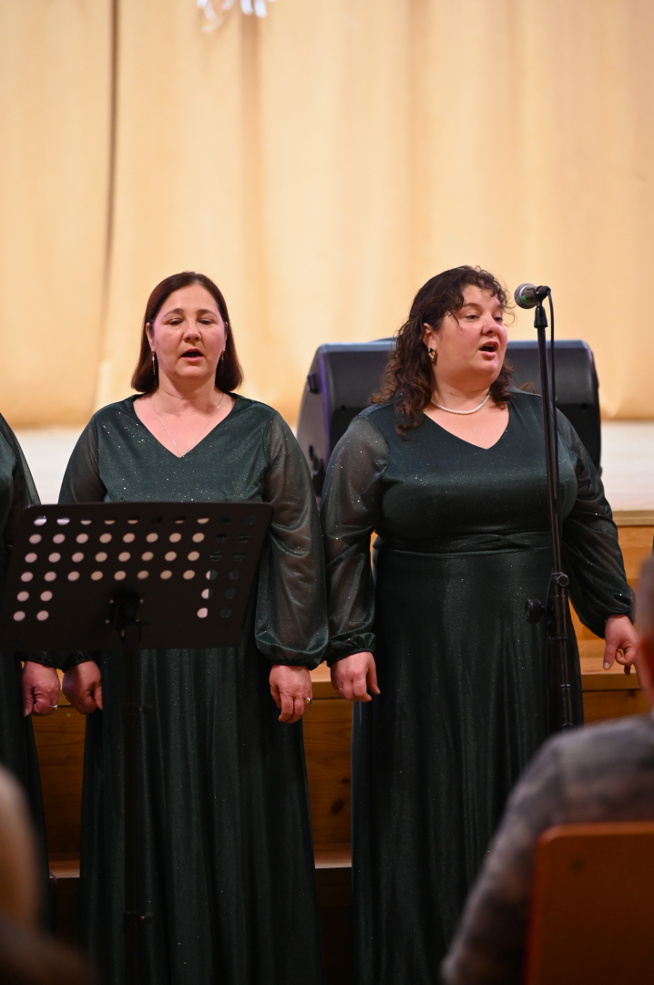 Stabulnieku pagasta svētki