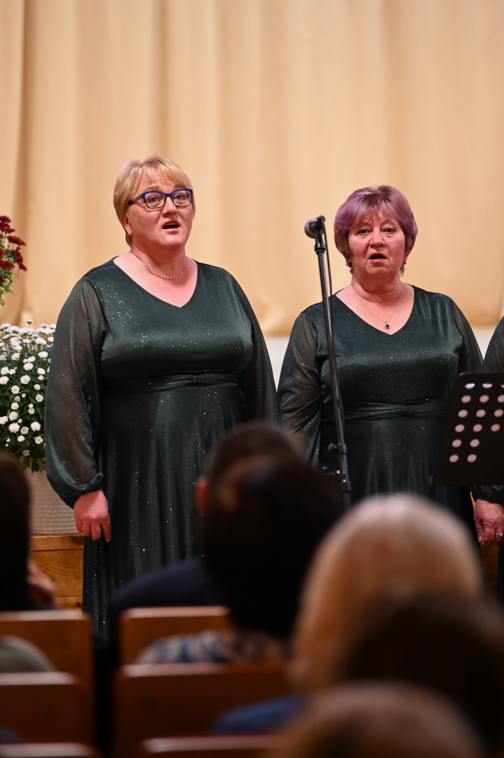 Stabulnieku pagasta svētki