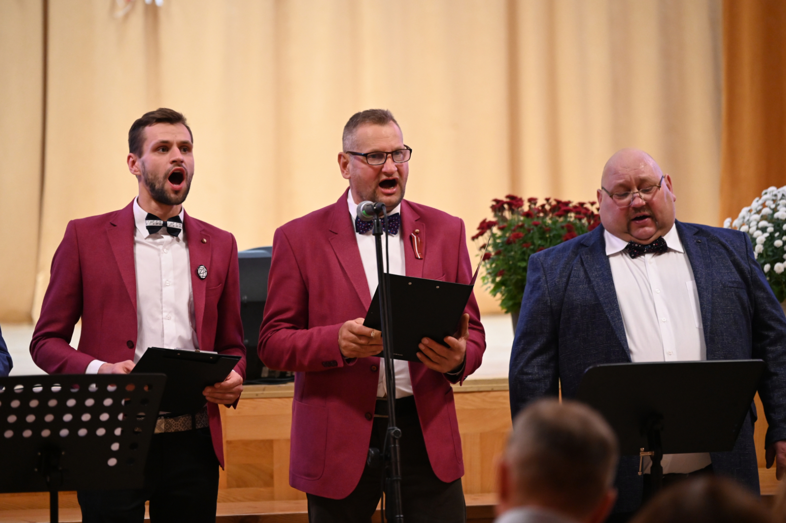 Stabulnieku pagasta svētki