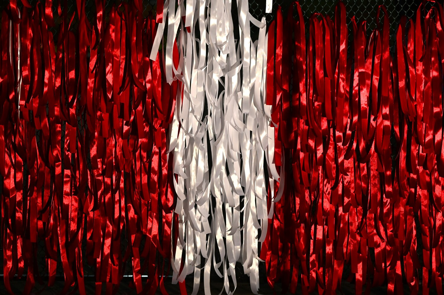 Lāčplēša dienas lāpu gājiens Preiļos