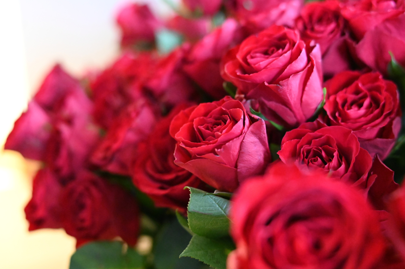 Apbalvoti 2025. gada Preiļu novada laureāti sportā