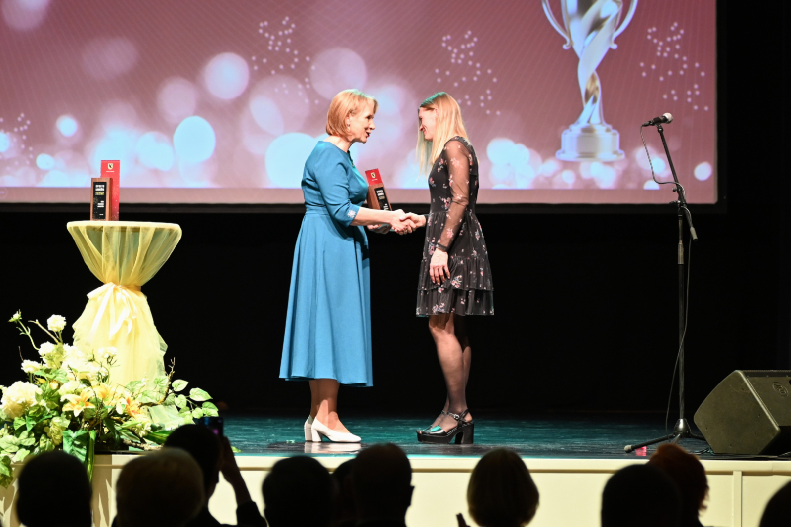 Apbalvoti 2025. gada Preiļu novada laureāti sportā