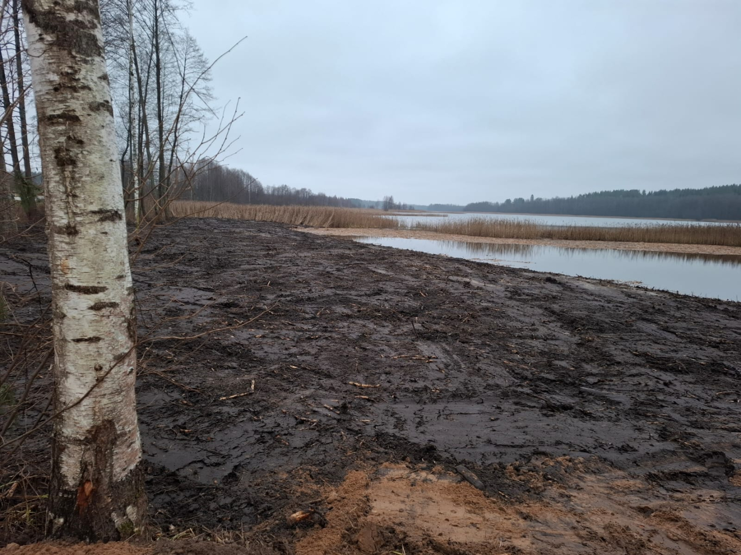 Turpinās darbs pie jaunas atpūtas vietas ierīkošanas Pelēču ezera krastā