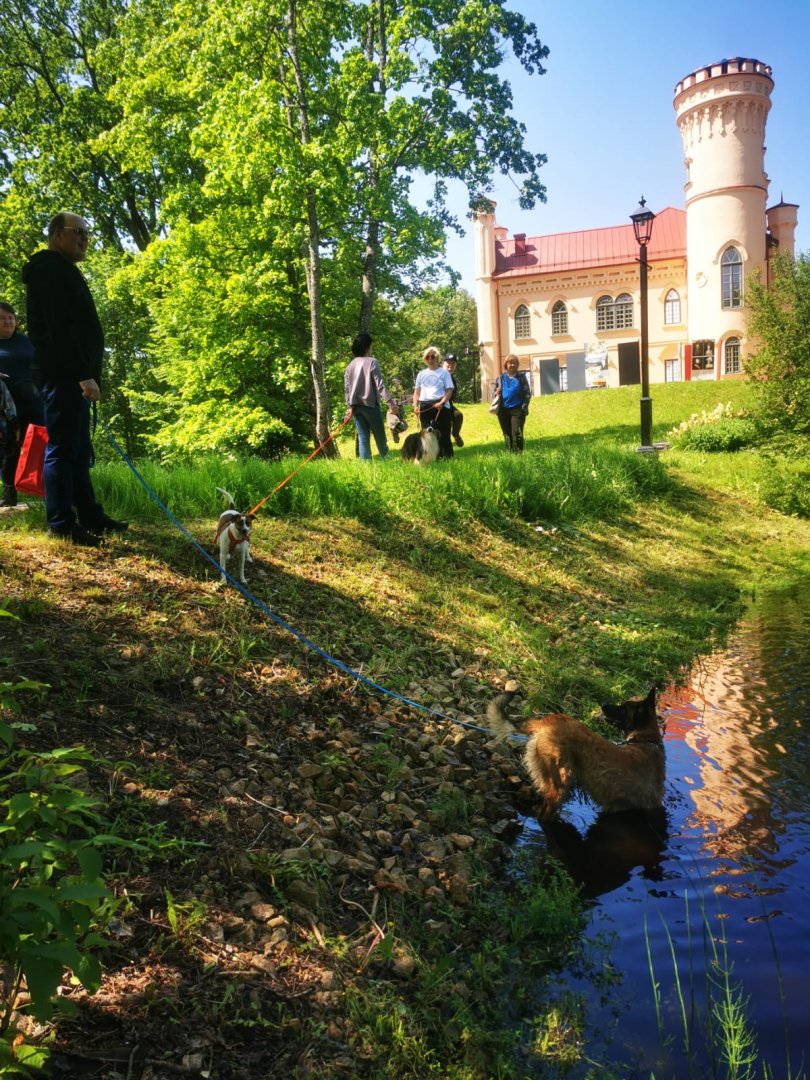 Preiļu pils parkā notikusi suņu un viņu saimnieku zibakcija