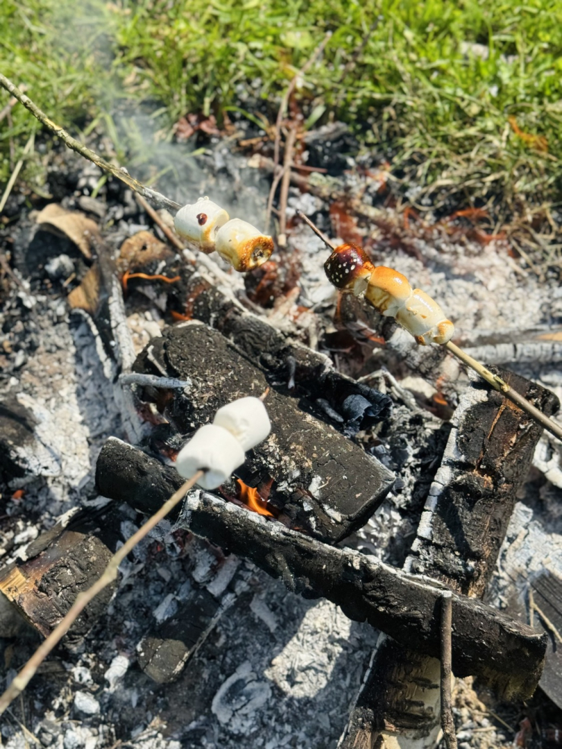 Jauniešu pikniks Riebiņu parkā