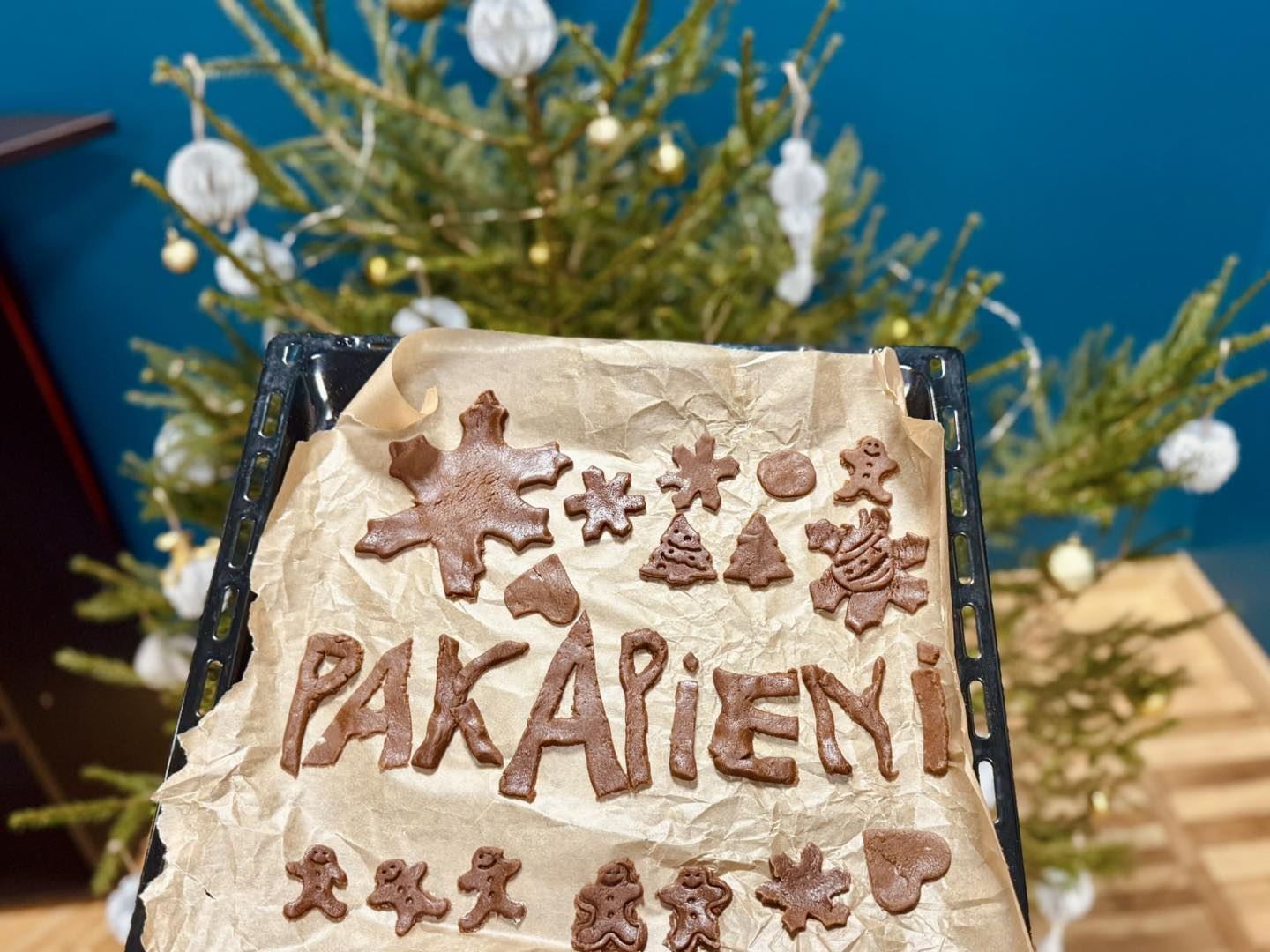 Ziemassvētku piparkūku darbnīcas Riebiņu MJIC “Pakāpieni”, Galēnu un Vārkavas pamatskolās