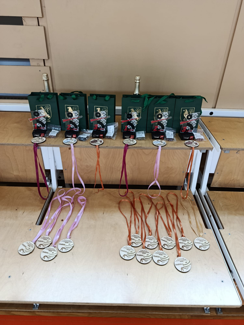 Aizvadītas Preiļu novada finālsacensības novusā