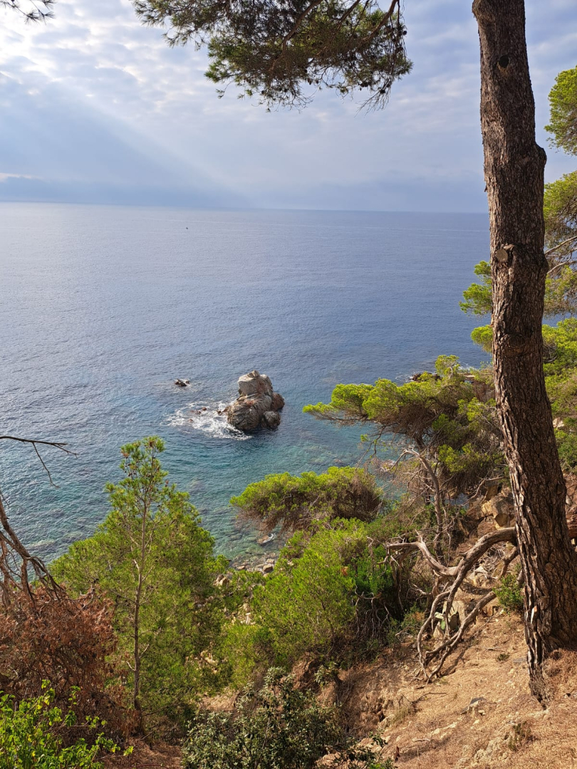 Vieglatlētikas treniņnometne Spānijā 2025. gadā