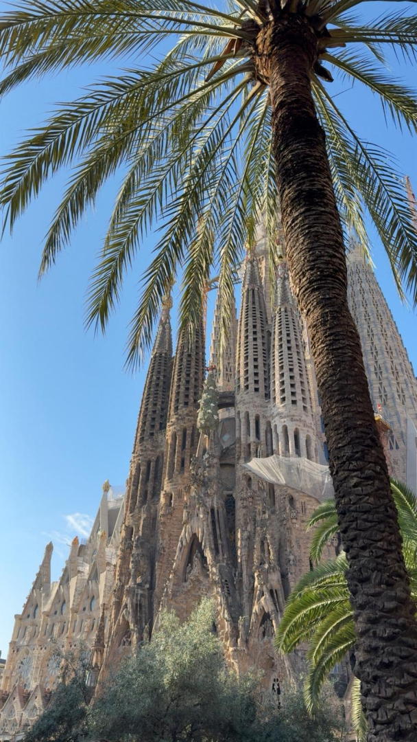 Vieglatlētikas treniņnometne Spānijā 2025. gadā