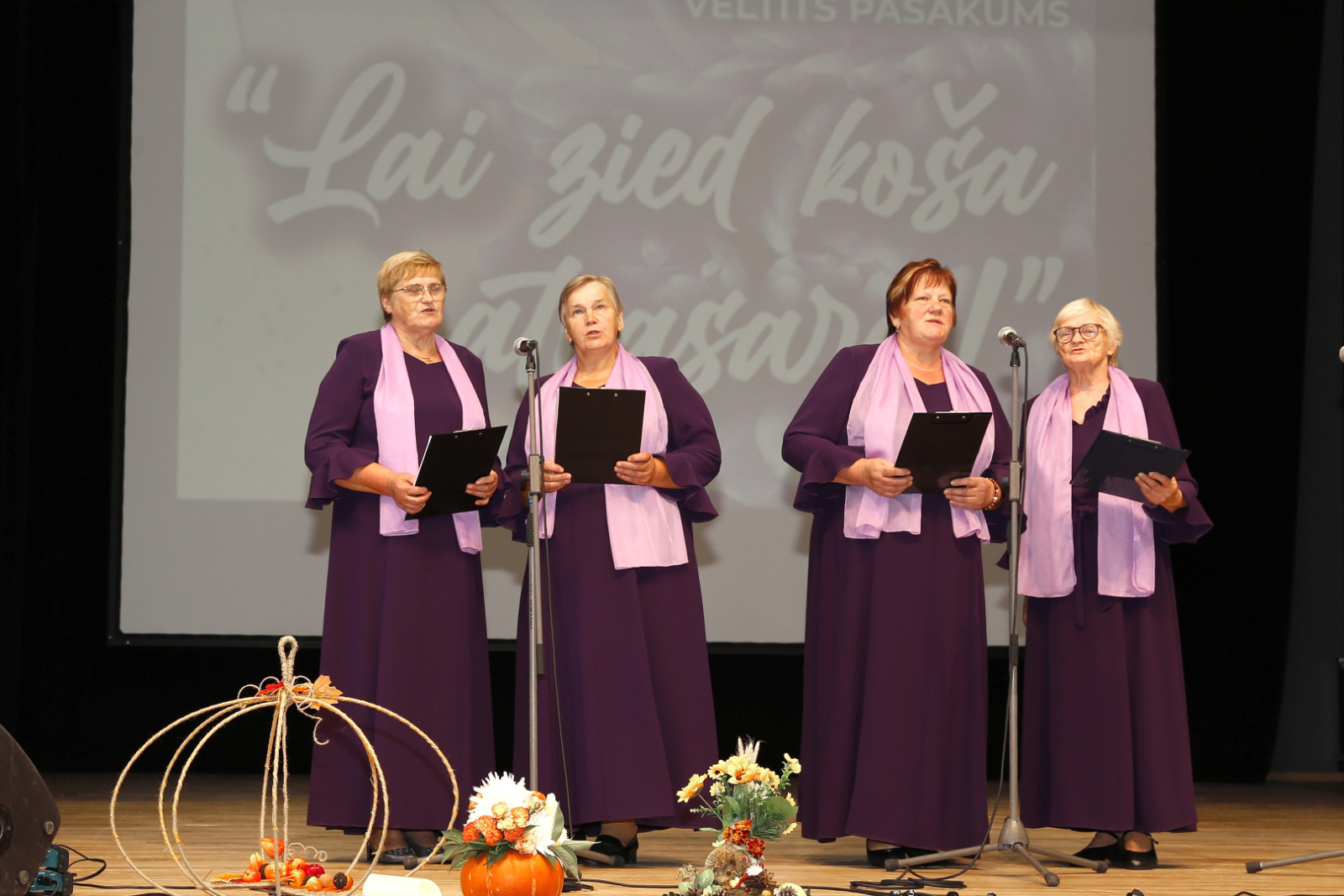Starptautiskajai Senioru dienai veltīts pasākums Preiļos