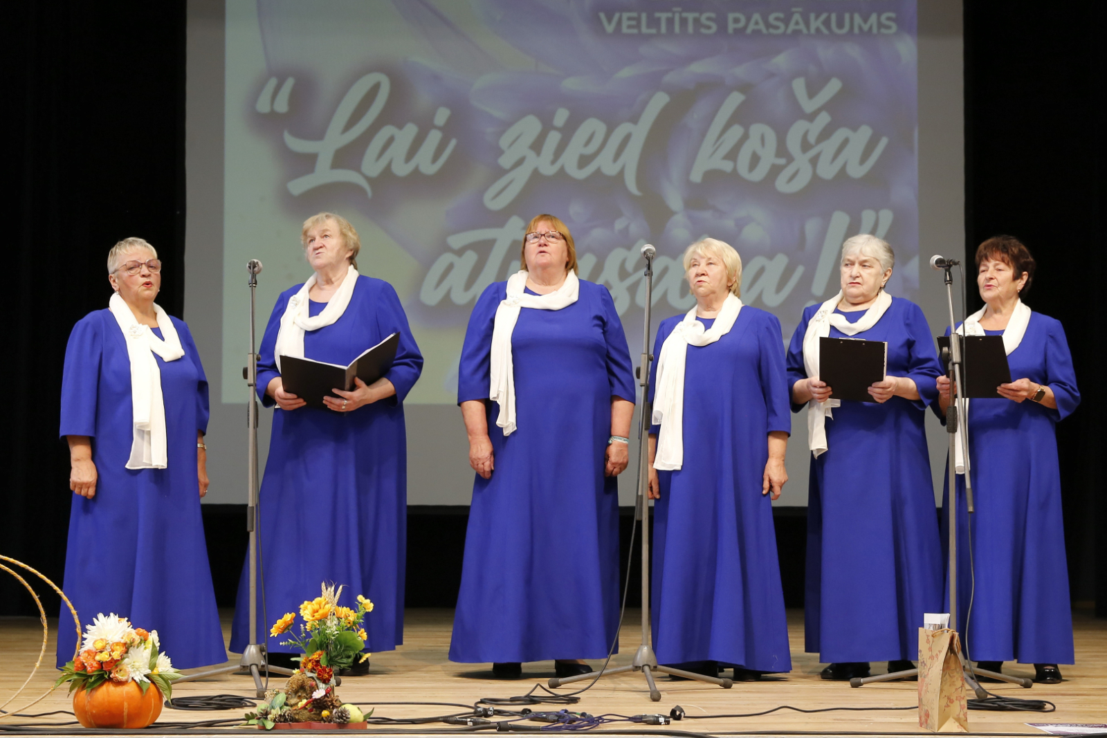 Starptautiskajai Senioru dienai veltīts pasākums Preiļos