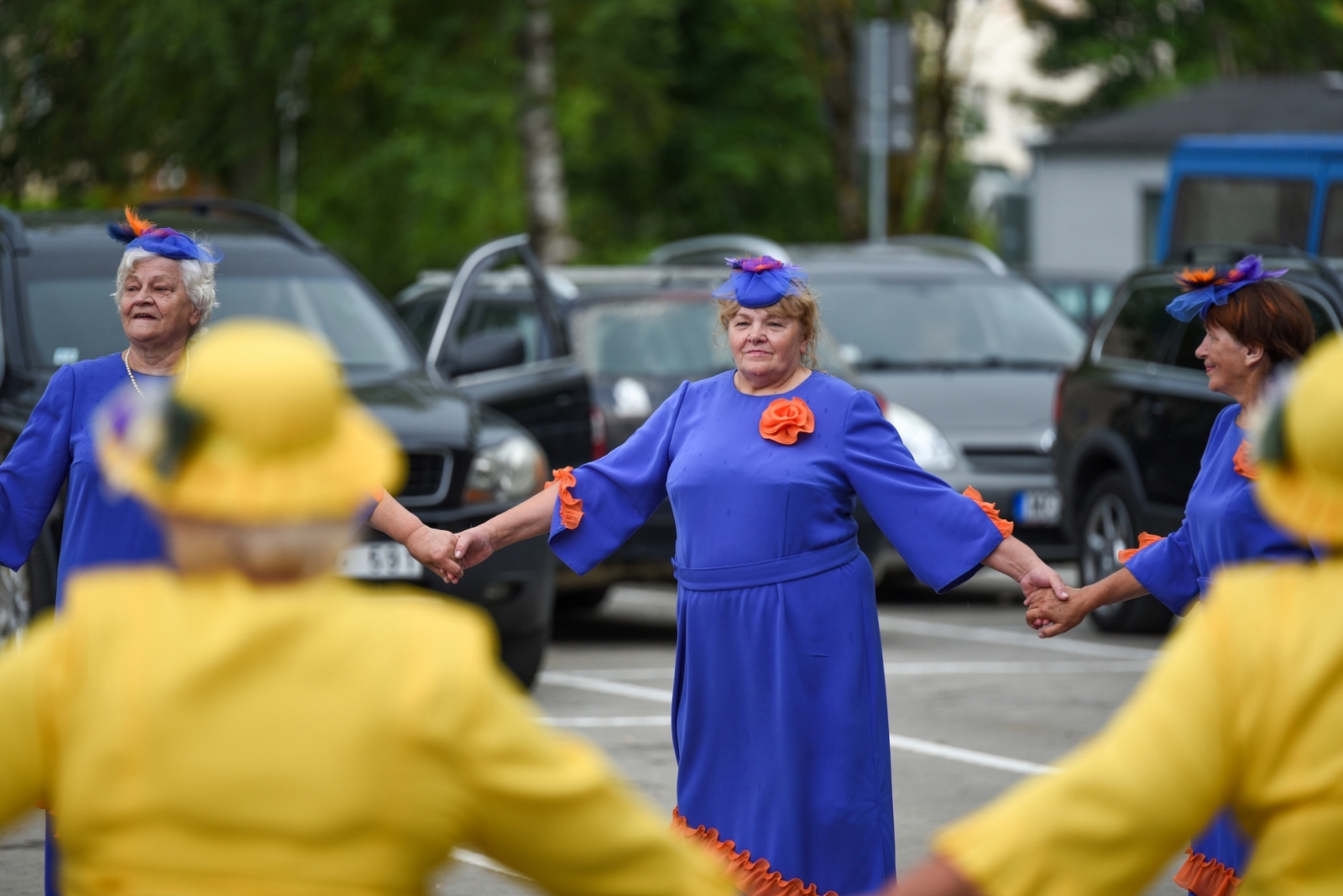 Senioru dārza svētki