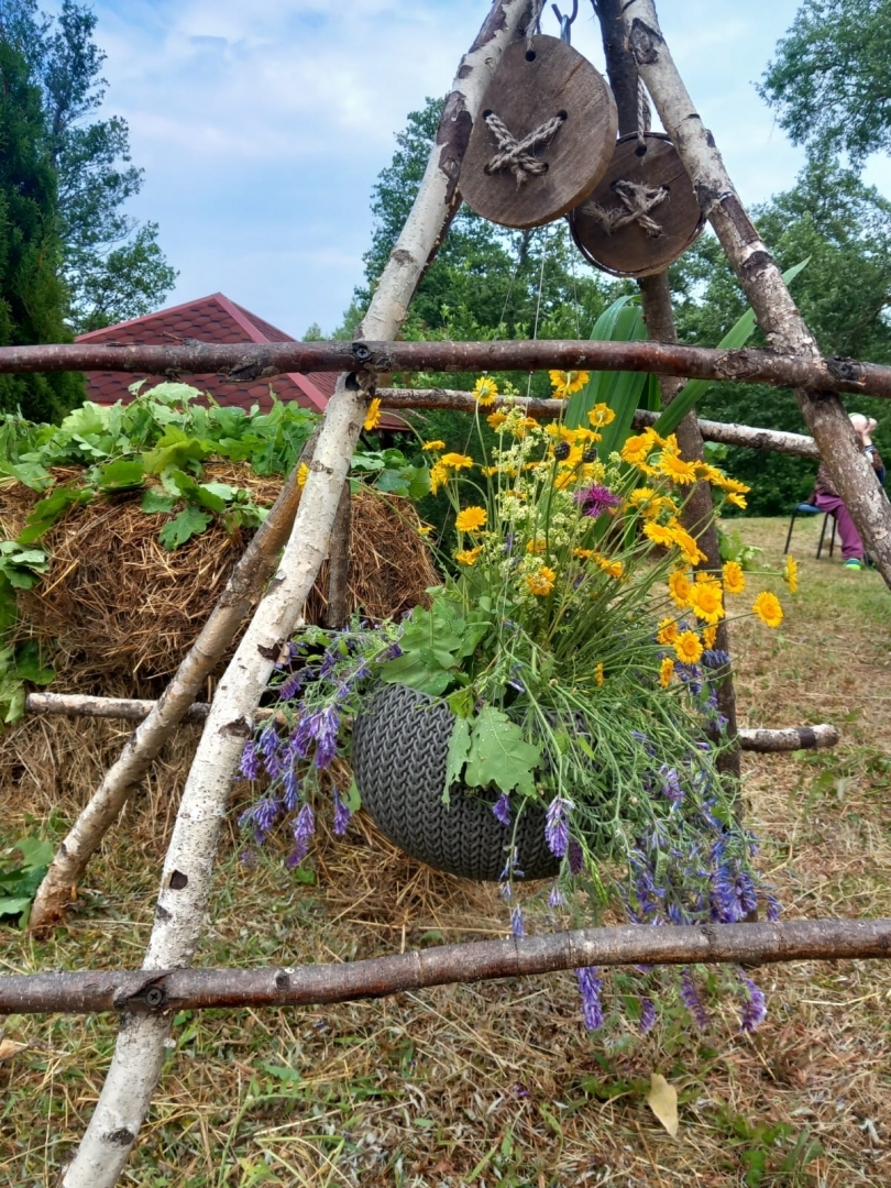 SAC “Aglona” svin Līgo