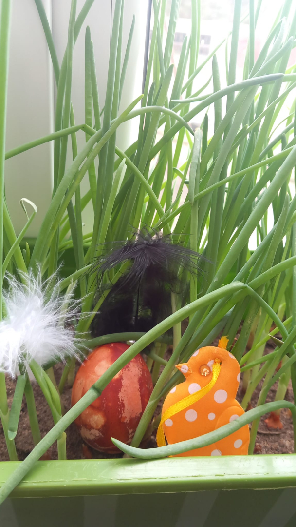 Lieldienu svinības SAC “Aglona”