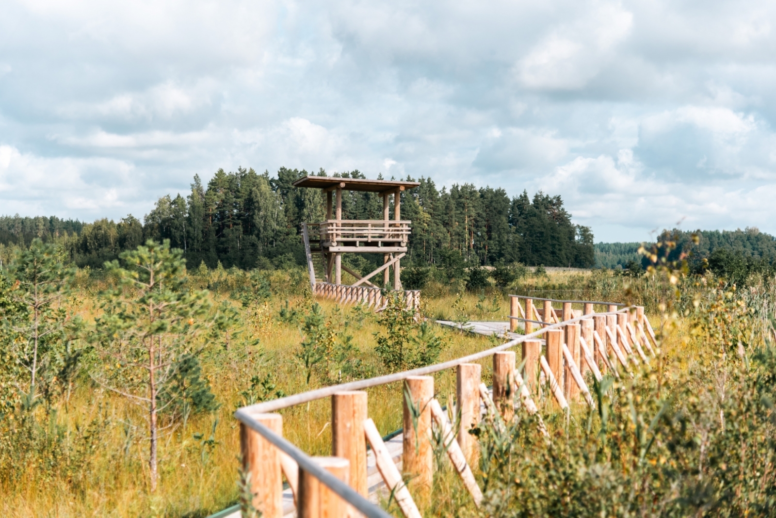 Projekts “Jauna tūrisma produkta – dabas izziņas pastaigu takas izveide Pelēču ezera purvā”.