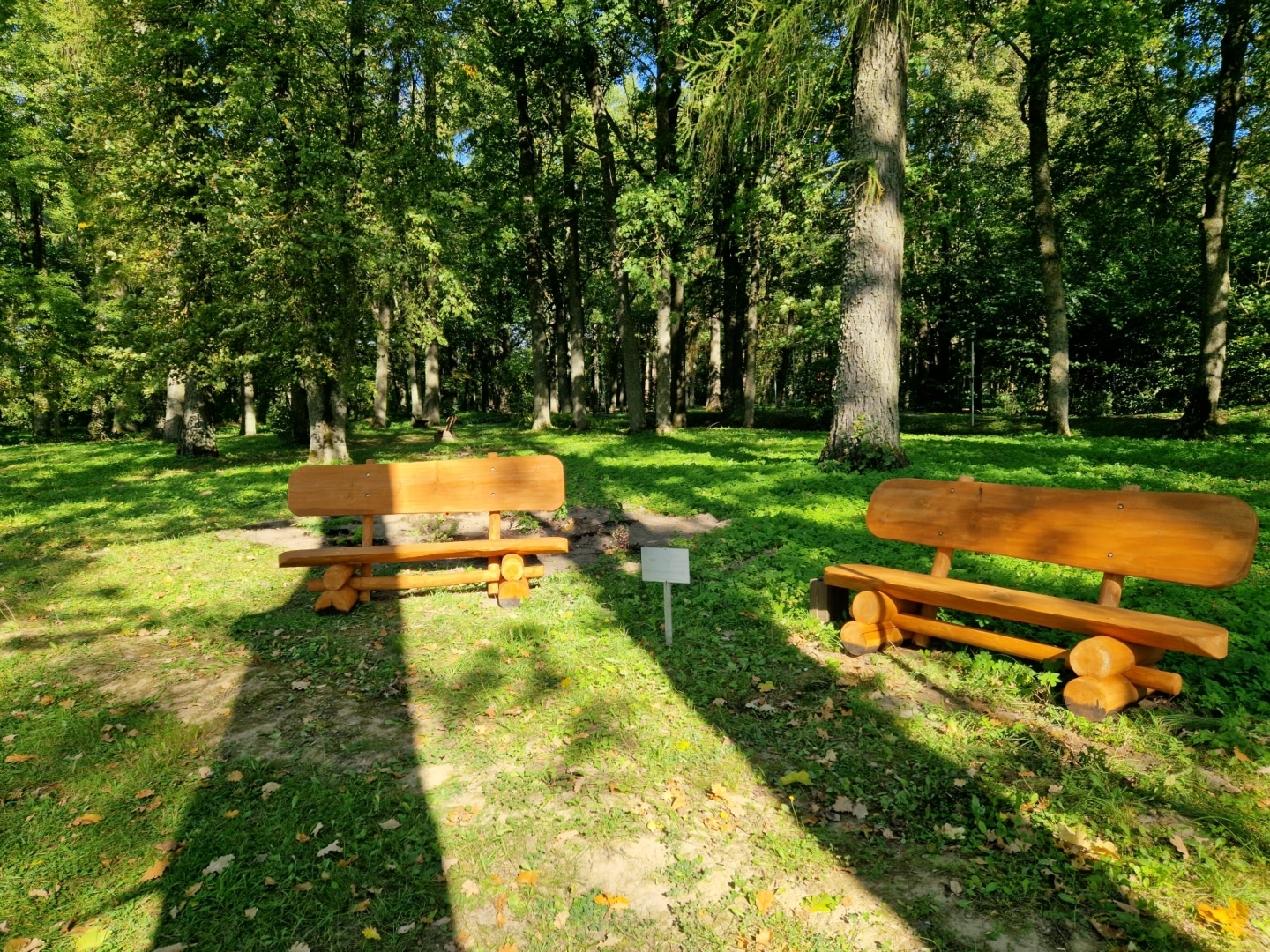 Preiļu novada pašvaldība iesaistās projektā “Meža dienas 2023 Latvijas pašvaldībās - veidosim zaļāku, košāku un daudzveidīgāku vidi sev apkārt!”
