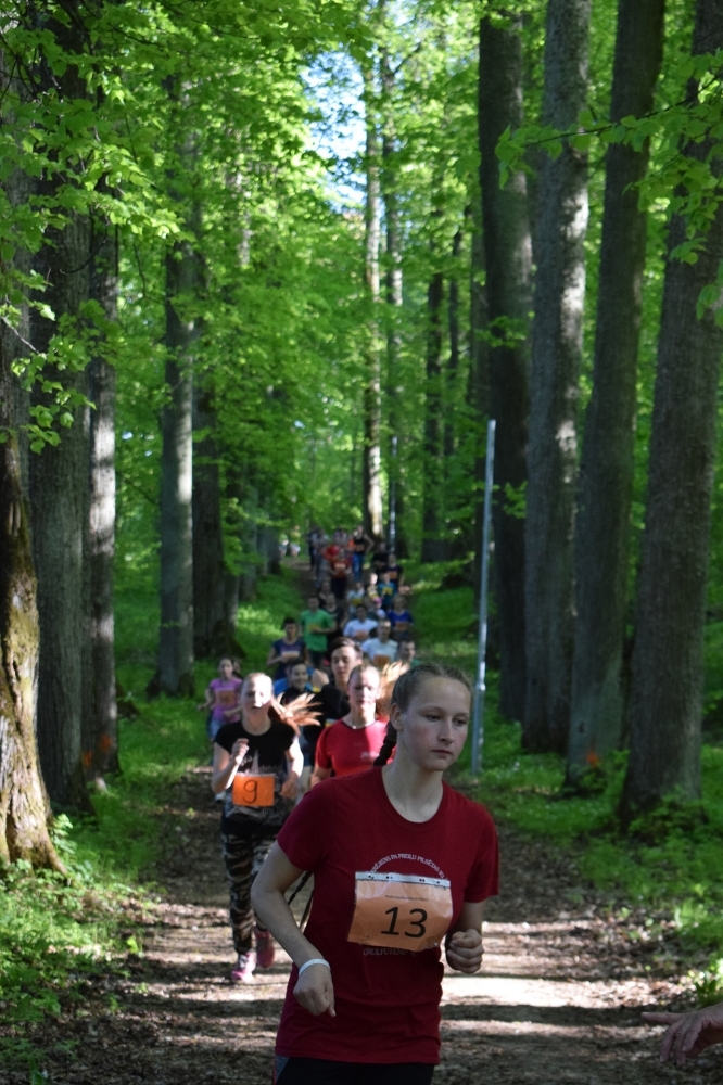 20180509_skrejiens_010.jpg