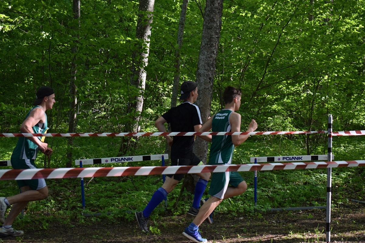 20180509_skrejiens_022.jpg