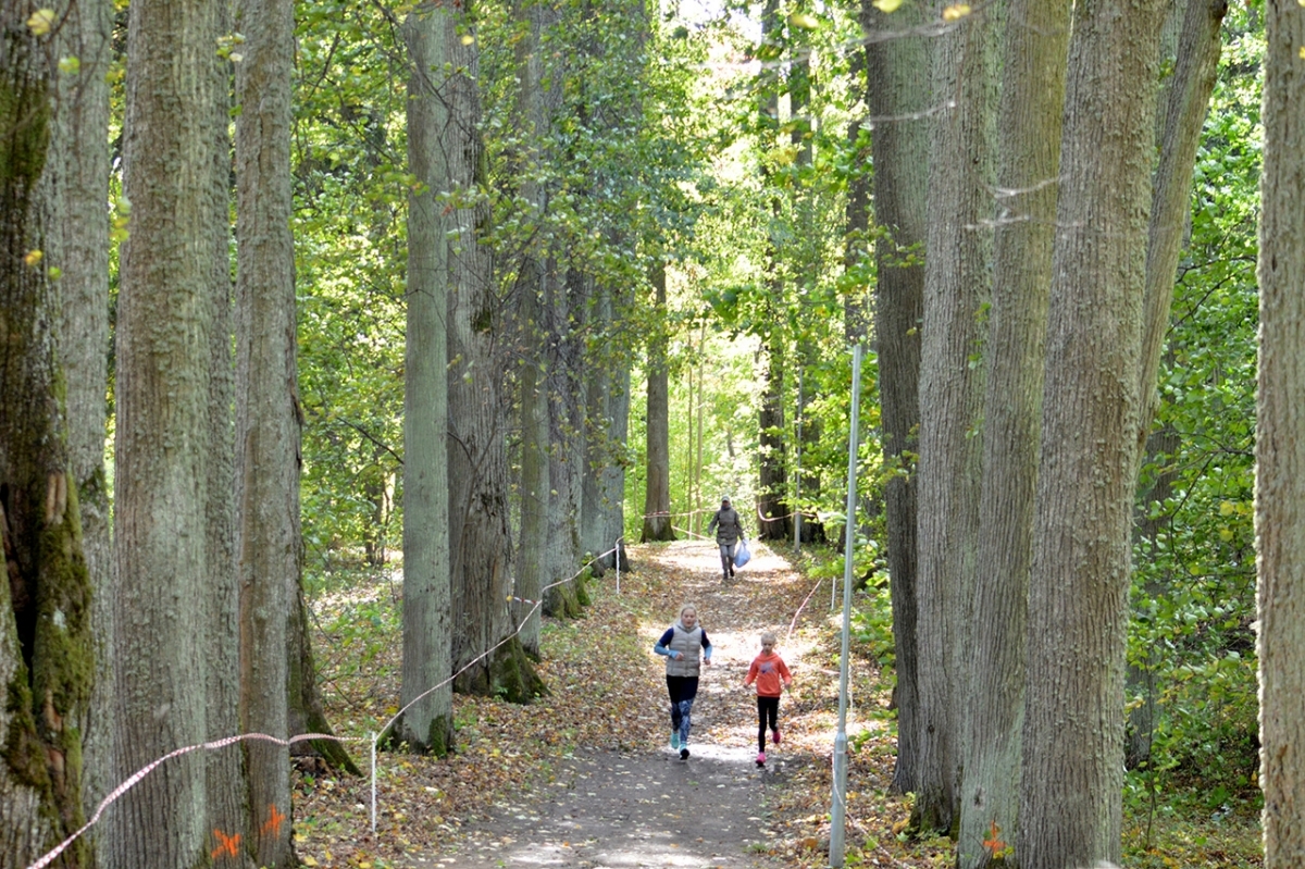 20180928_skolu_rudens_kross_310.jpg