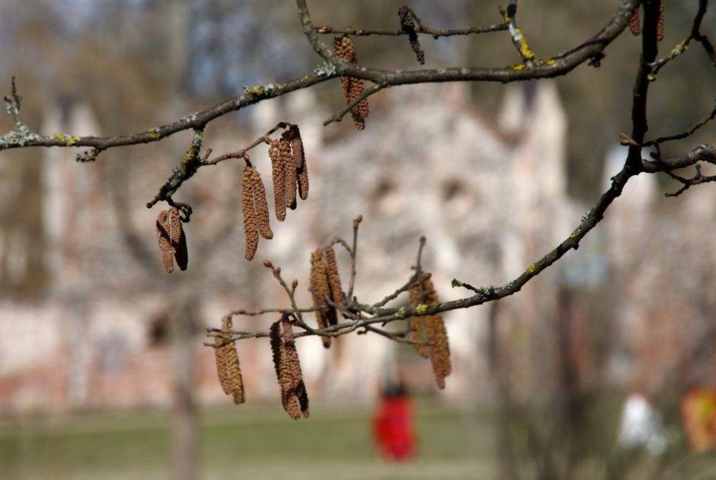 lieldienas-preilu-novada-foto-gunars-vilcans-005-1024x686.jpg