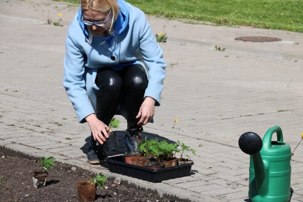 pavasara-aktivitate-projekta-darbigas-kopienas-foto-jolanta-upeniece-013-1024x683.jpg