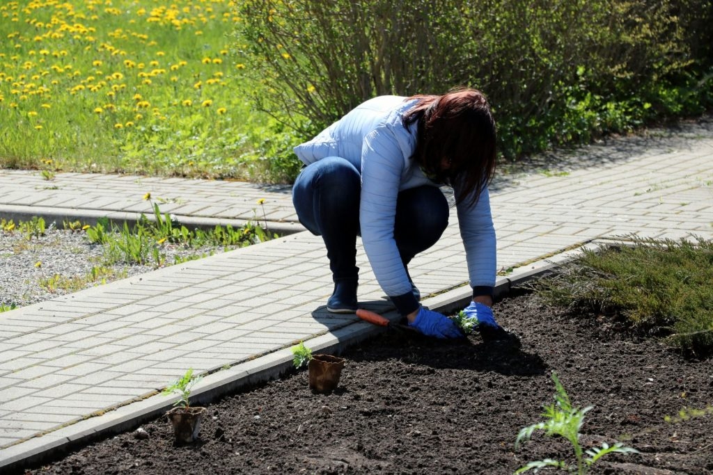 pavasara-aktivitate-projekta-darbigas-kopienas-foto-jolanta-upeniece-018-1024x683.jpg