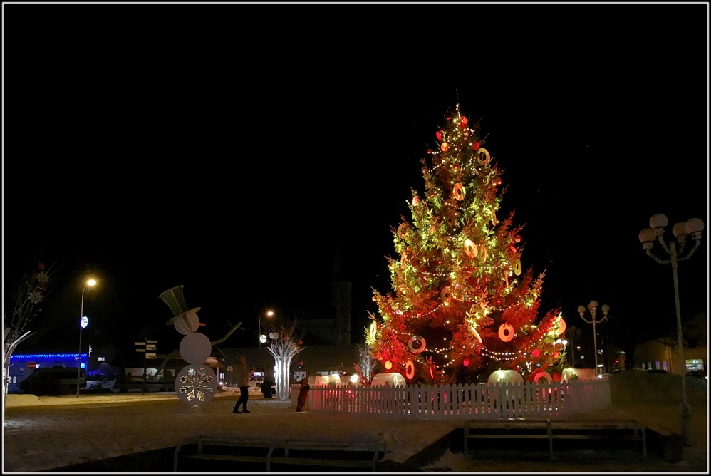 preilu-pilseta-decembri-foto-gunars-vilcans-018.jpg