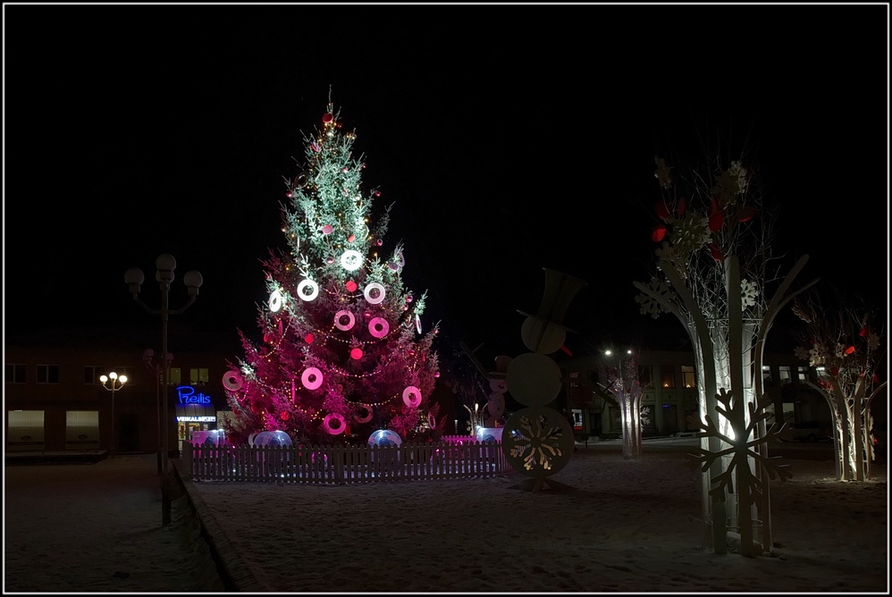 preilu-pilseta-decembri-foto-gunars-vilcans-021.jpg