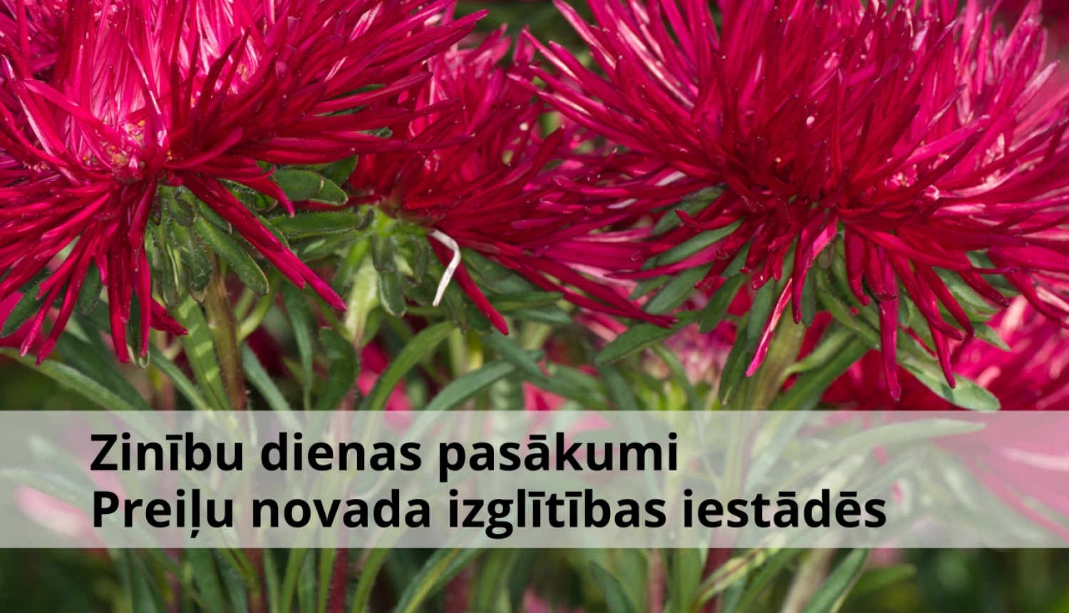 Zinību dienas pasākumi Preiļu novada izglītības iestādēs