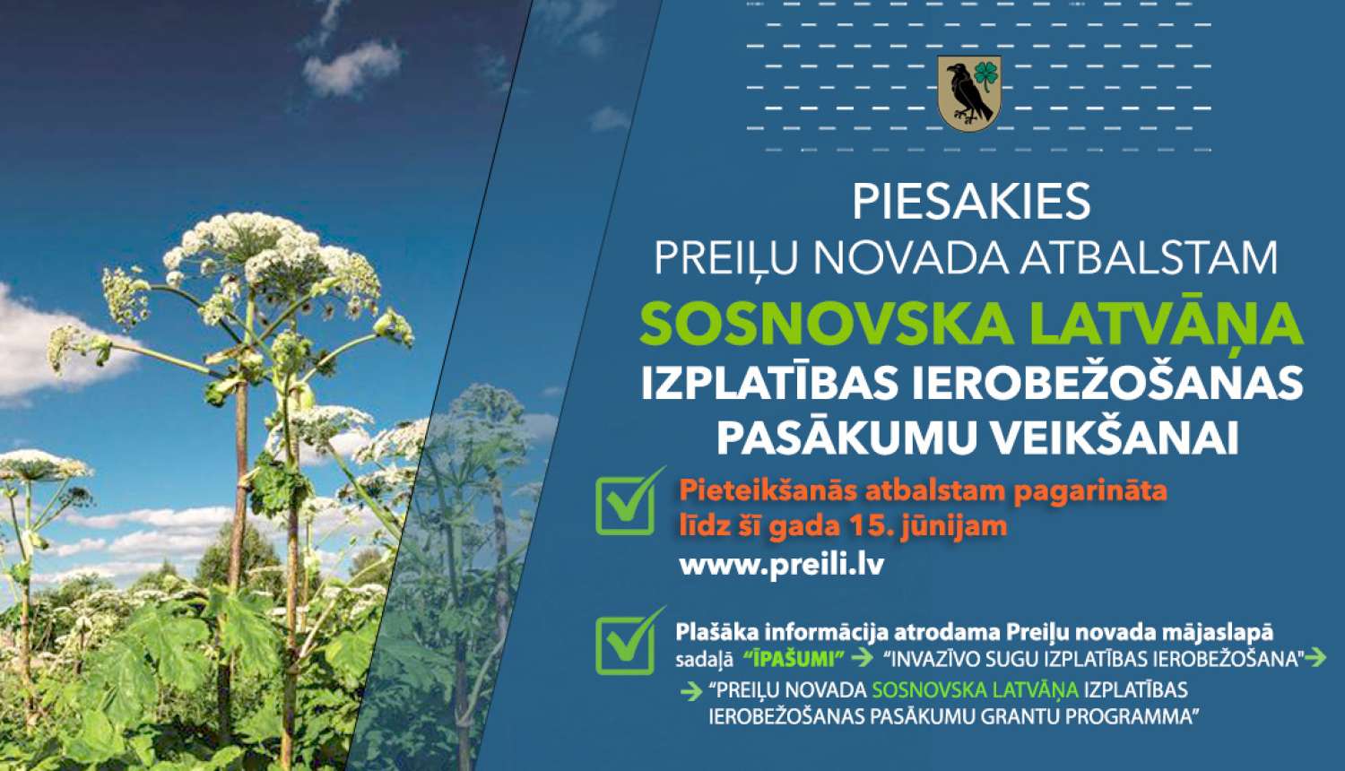 Aicinām pieteikties pašvaldības atbalstam Sosnovska latvāņa izplatības ierobežošanas pasākumu veikšanai