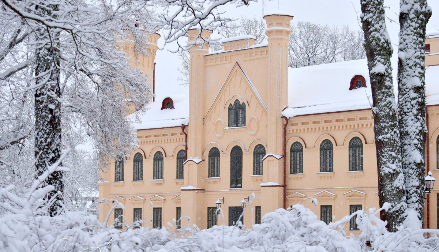 Aptaujas par Preiļu pils attīstības virzieniem rezultāti