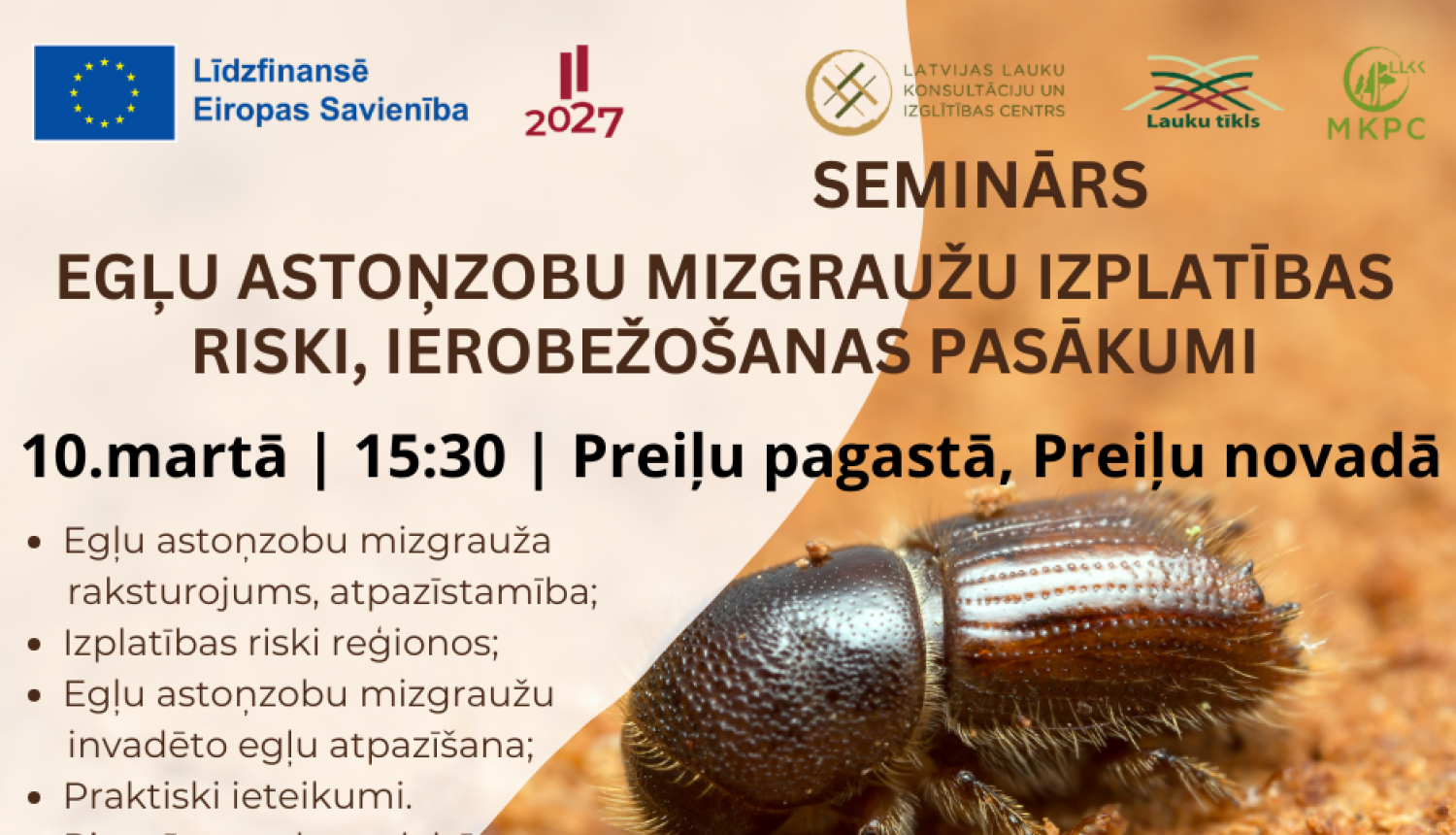 Seminārs “Egļu astoņzobu mizgrauža izplatības riski, ierobežošanas pasākumi”