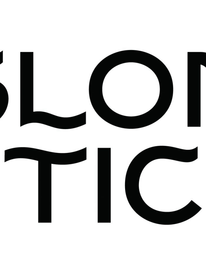 Logotipa versija